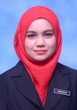 WAN HAMIZAH