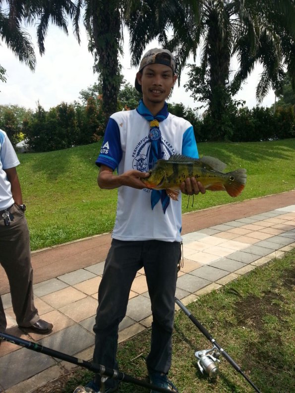 IMG-20140901-WA0310