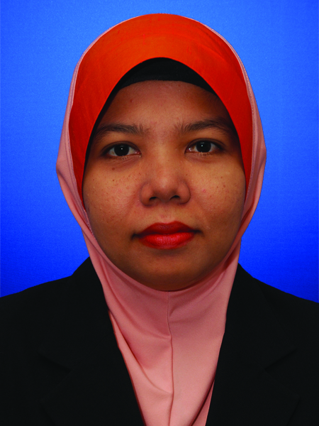 Ketua Penyelaras